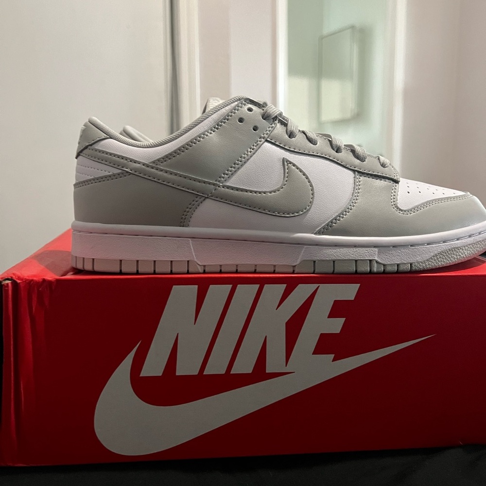 Nike Dunk Low Retro Grey Fogs